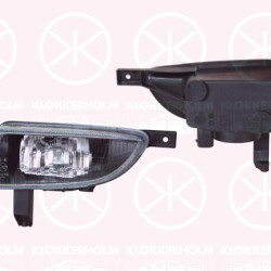 Front Fog Light, H3, ZKW, Right Front, 09117327 (OPEL), 09195697 (OPEL), 67 10 014 (OPEL)