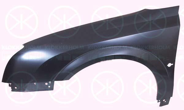 Wing, Left Front, with hole for direction indicator, 61 01 327 (OPEL), 93172024 (OPEL)