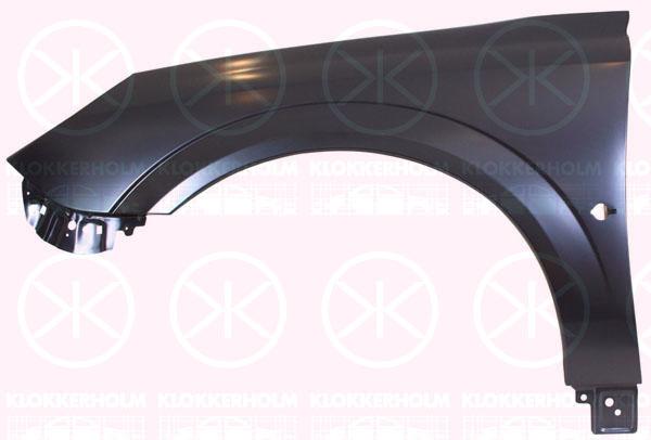 Wing, Right Front, with hole for direction indicator, 61 02 358 (OPEL), 93185702 (OPEL)