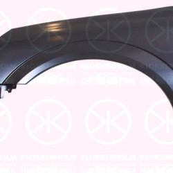 Wing, Right Front, with hole for direction indicator, 61 02 358 (OPEL), 93185702 (OPEL)