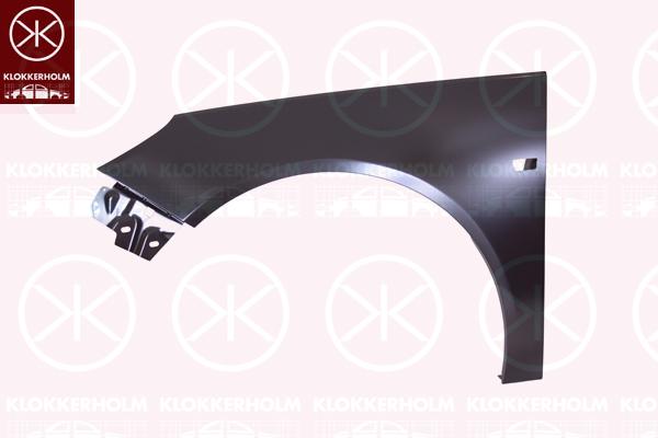 Wing, Left Front, 13277520 (OPEL), 61 02 365 (OPEL)