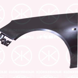 Wing, Left Front, 13277520 (OPEL), 61 02 365 (OPEL)