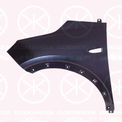 Wing, Left Front, with hole for direction indicator, 13478963 (OPEL), 39136753 (OPEL)