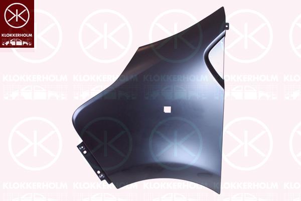 Wing, Left Front, Model Year to: 2021, 4422309 (OPEL), 631016242R (RENAULT), 631016242R (NISSAN), 93455812 (OPEL)