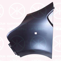 Wing, Left Front, Model Year to: 2021, 4422309 (OPEL), 631016242R (RENAULT), 631016242R (NISSAN), 93455812 (OPEL)