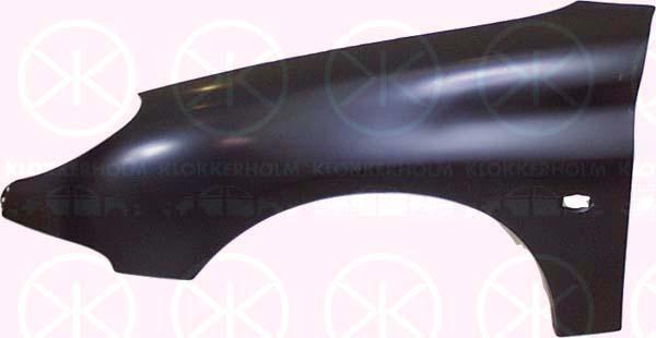 Wing, Left Front, with hole for direction indicator, 7840 J4 (PEUGEOT)