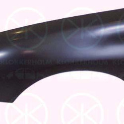 Wing, Left Front, with hole for direction indicator, 7840 J4 (PEUGEOT)