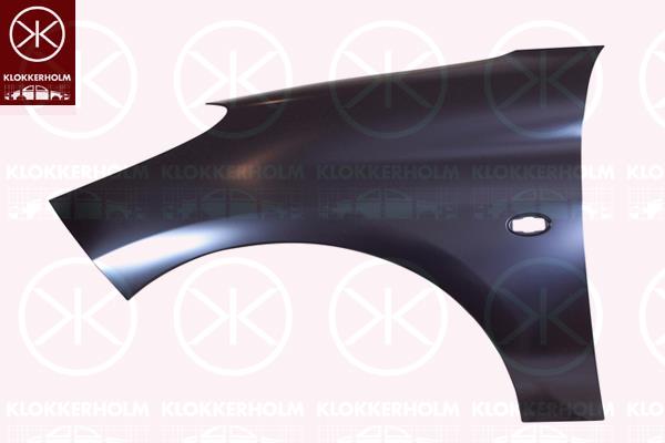 Wing, Right Front, with hole for direction indicator, 7841 Z5 (PEUGEOT)