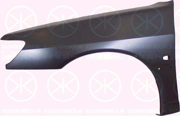 Wing, Left Front, with hole for direction indicator, 7840 J2 (PEUGEOT)