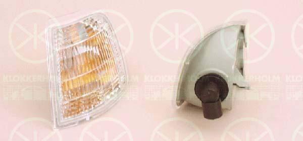 Direction Indicator, with bulb holder, white, Left, 6301 94 (PEUGEOT)