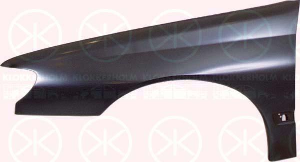 Wing, Left Front, with hole for direction indicator, Zinc-coated, 7840 F4 (PEUGEOT)