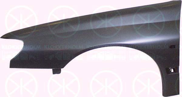 Wing, Right Front, with hole for direction indicator, 7841 L6 (PEUGEOT)