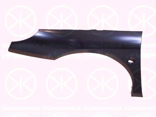 Wing, Left Front, with hole for direction indicator, Zinc-coated, 7840 P0 (PEUGEOT)