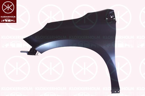 Wing, Left Front, 9678733480 (PEUGEOT)