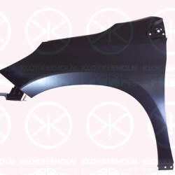 Wing, Left Front, 9678733480 (PEUGEOT)