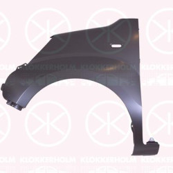 Wing, Right Front, with hole for direction indicator, 1352673080 (FIAT), 1386105080 (FIAT), 1616323480 (PEUGEOT), 1616323480 (DS), 1616323480 (CITROEN), 7841 Y6 (PEUGEOT), 7841 Y6 (DS), 7841 Y6 (CITROEN), 7841Y6 (PEUGEOT)