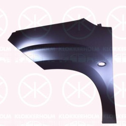 Wing, Left Front, Electrogalvanized, 9816482780 (PEUGEOT), 9816482780 (OPEL), 9816482780 (CITROEN), SU001 A9730 (TOYOTA)