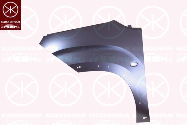 Wing, Right Front, with holes for trim/protective strip, Electrogalvanized, 9816483580 (PEUGEOT), 9816483580 (CITROEN)