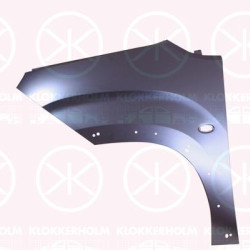 Wing, Right Front, with holes for trim/protective strip, Electrogalvanized, 9816483580 (PEUGEOT), 9816483580 (CITROEN)