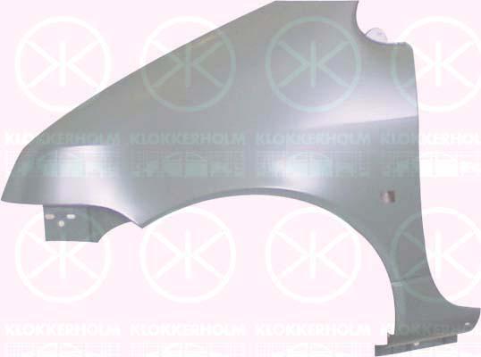 Wing, Left Front, with hole for direction indicator, 77 50 415 618 (RENAULT), 77 50 813 788 (RENAULT), 77 82 170 227 (RENAULT)