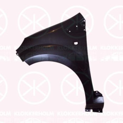 Wing, Plastic, Left Front, with hole for direction indicator, 77 01 477 873 (RENAULT)