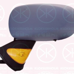 Exterior Mirror, Left, for electric mirror adjustment, with indicator, Heatable, w/primer, 7701065901 (RENAULT)