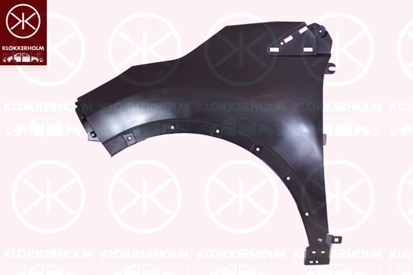 Wing, Left Front, 63 10 150 72R (RENAULT), 63 10 180 73R (RENAULT), 63 10 196 04R (RENAULT), 631015072R (RENAULT), 631019604R (RENAULT)