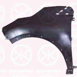 Wing, Left Front, 63 10 150 72R (RENAULT), 63 10 180 73R (RENAULT), 63 10 196 04R (RENAULT), 631015072R (RENAULT), 631019604R (RENAULT)