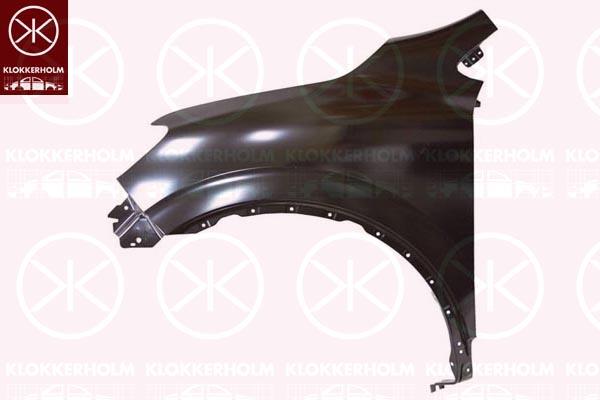 Wing, Full Body Section, Left Front, without hole for direction indicator, 631013206R (RENAULT)