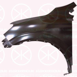 Wing, Full Body Section, Left Front, without hole for direction indicator, 631013206R (RENAULT)