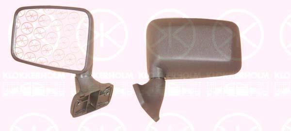 Exterior Mirror, Right, N/A (RENAULT)