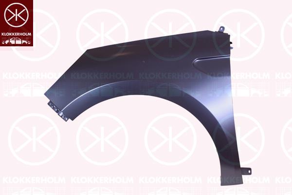 Wing, Right Front, 63 10 047 65R (RENAULT), 631002838R (RENAULT)