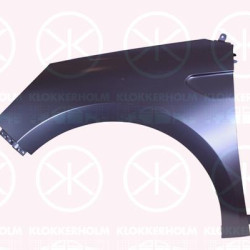 Wing, Right Front, 63 10 047 65R (RENAULT), 631002838R (RENAULT)