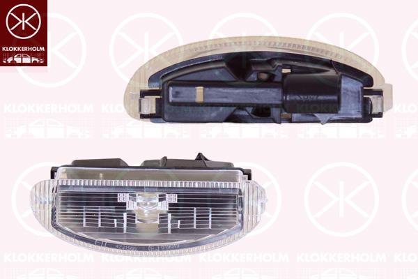 Licence Plate Light, with bulb holder, 7700410754 (RENAULT), 77 00 410 754 (RENAULT)