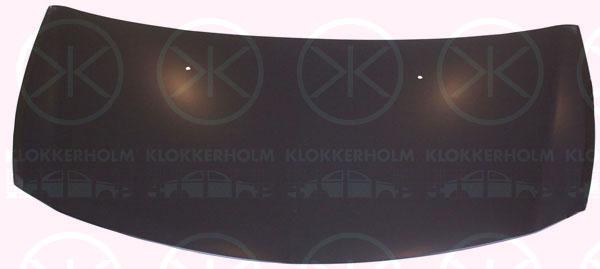 Bonnet, Aluminium, 77 51 476 113 (RENAULT), 7751479109 (RENAULT)