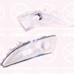 Direction Indicator, Right, Exterior Mirror, WY5W, 26 16 046 23R (RENAULT)