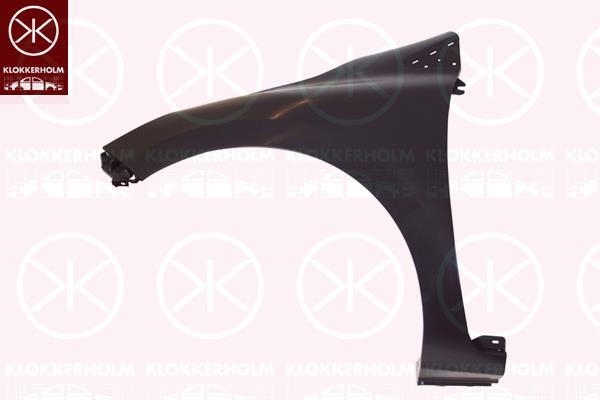 Wing, Plastic, Left Front, without hole for direction indicator, 63 10 140 89R (RENAULT), 63 10 179 84R (RENAULT)