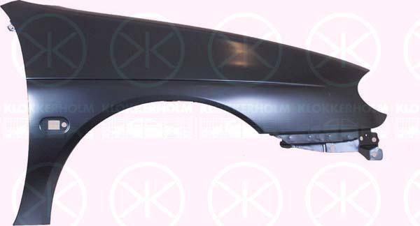 Wing, Right Front, with hole for direction indicator, 77 51 696 569 (RENAULT), 8484308 (VOLVO)