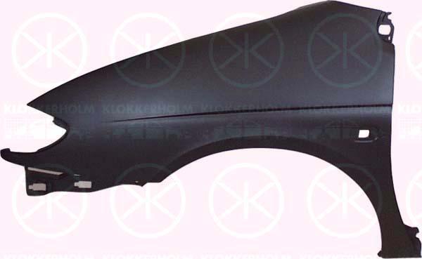 Wing, Plastic, Right Front, 77 00 844 960 (RENAULT), 7701703472 (RENAULT), 8200229960 (RENAULT)