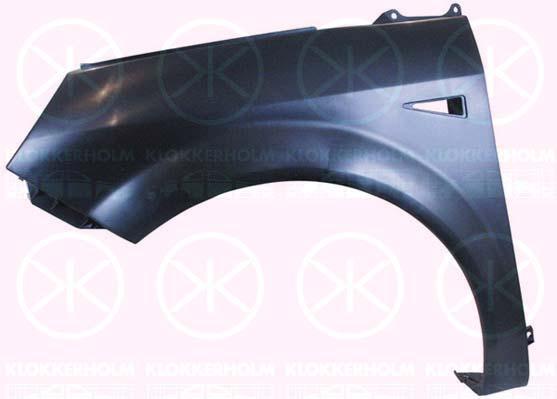 Wing, Plastic, Left Front, with hole for direction indicator, 77 01 474 852 (RENAULT), 7701474852 (RENAULT), 82 00 020 568 (RENAULT)