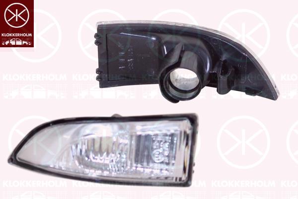 Direction Indicator, Left, Exterior Mirror, 26 16 500 02R (RENAULT), 26 16 564 70R (RENAULT)