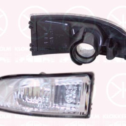 Direction Indicator, Left, Exterior Mirror, 26 16 500 02R (RENAULT), 26 16 564 70R (RENAULT)