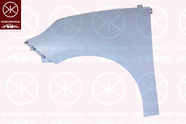 Wing, w/primer, Right Front, 63 10 042 70R (RENAULT)