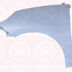 Wing, w/primer, Left Front, 63 10 175 81R (RENAULT)