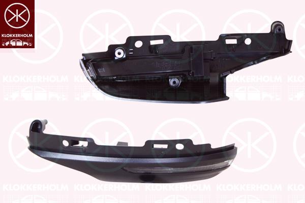 Direction Indicator, Left, Exterior Mirror, 963066605R (RENAULT), 963066878R (RENAULT)