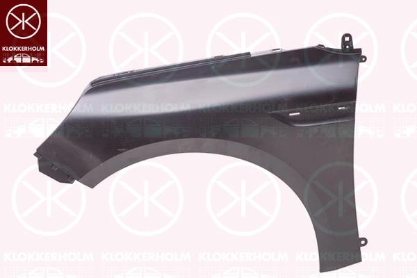 Wing, Plastic, Left Front, with hole for direction indicator, 63 10 153 92R (RENAULT), 631017894R (RENAULT)