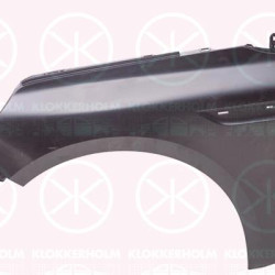 Wing, Plastic, Left Front, with hole for direction indicator, 63 10 153 92R (RENAULT), 631017894R (RENAULT)