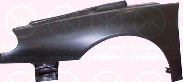 Wing, Right Front, without hole for direction indicator, 8483460 (RENAULT)