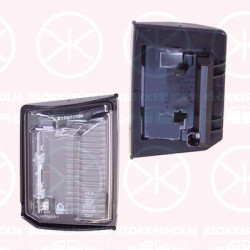 Direction Indicator, Fitting Position: Right Exterior Mirror, 261603884R (RENAULT)