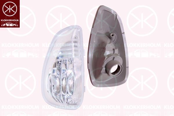 Direction Indicator, Right, WY5W, without bulb holder, 261650223R (RENAULT), 4419995 (OPEL), 93167594 (OPEL)